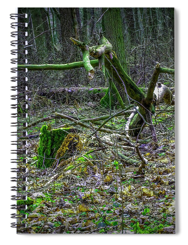 Old Forest Find Spiral Notebook featuring the photograph Old Forest Find #i6 by Leif Sohlman