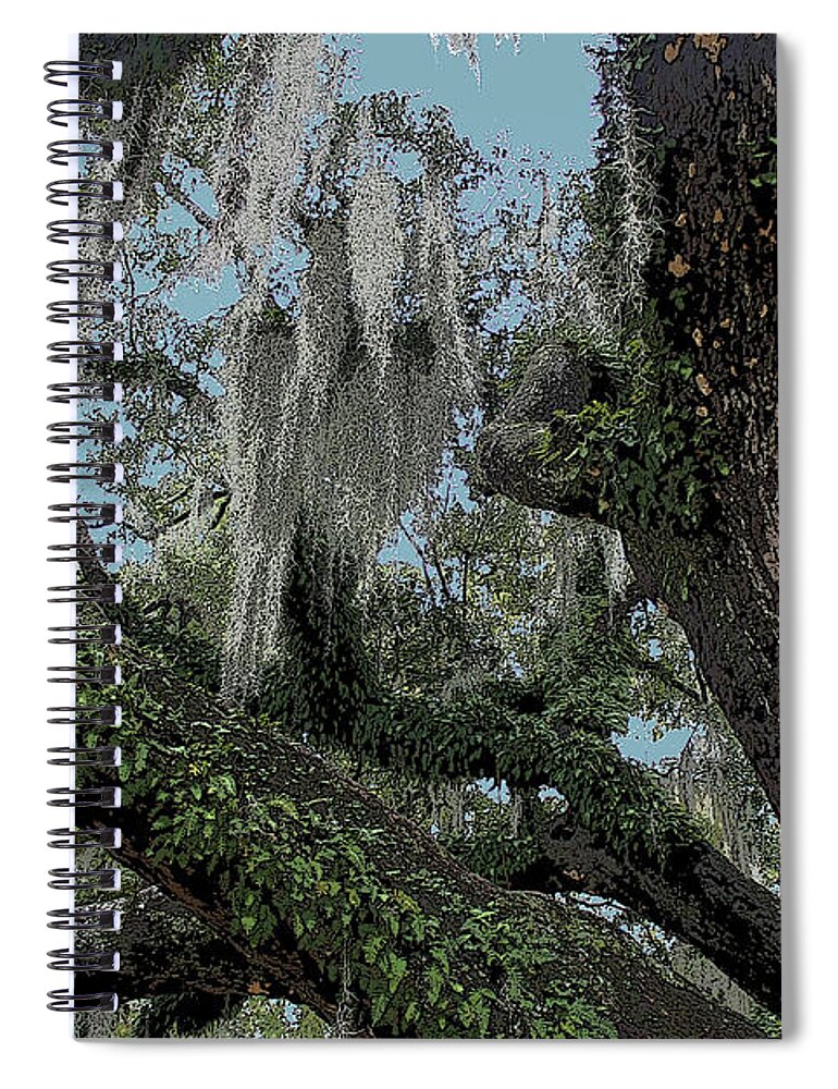 Brad Brailsford Spiral Notebook featuring the mixed media Old Oak by Brad Brailsford