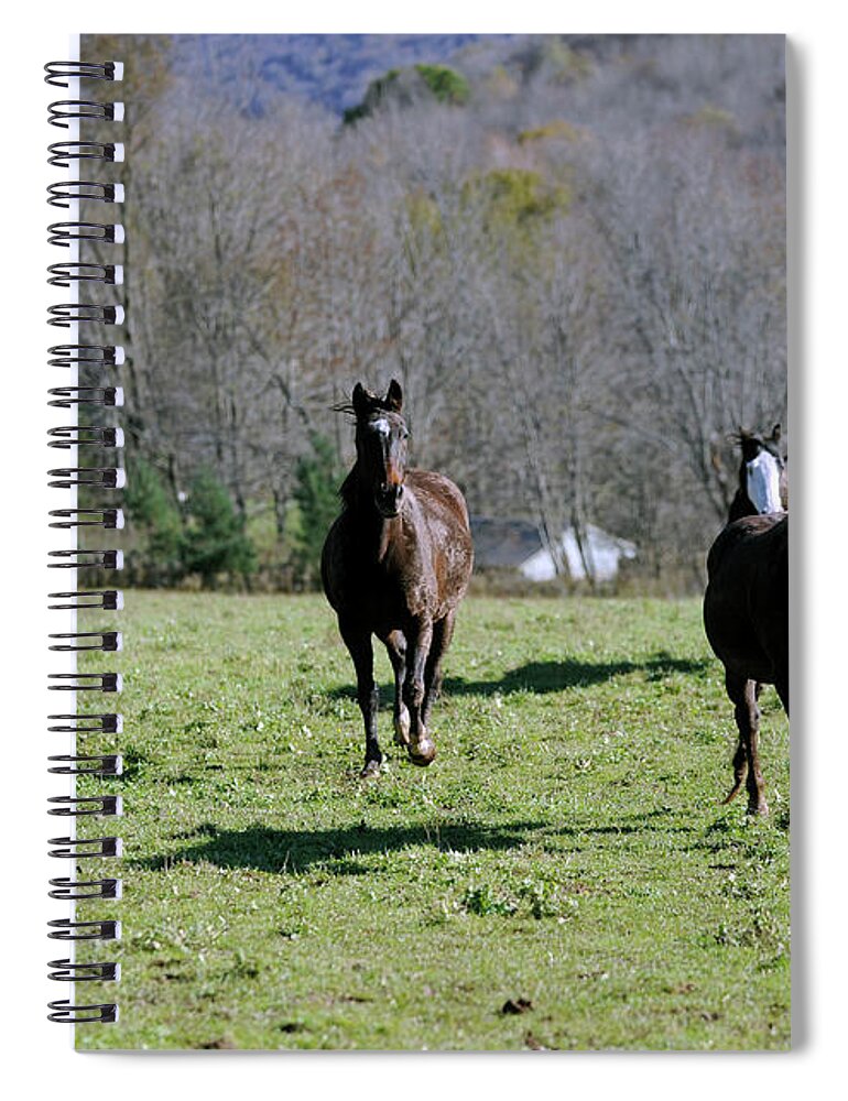 Rosemary Farm Spiral Notebook featuring the photograph Oliver, Mira, Luna, Melody and Marshall by Carien Schippers