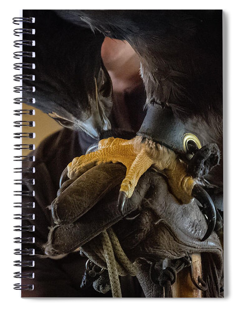 Eagle Spiral Notebook featuring the photograph On the Fist by Al Griffin