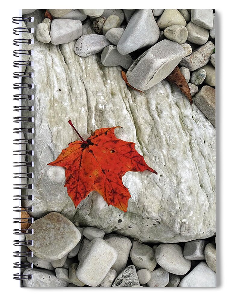 Fall Spiral Notebook featuring the photograph One Leaf Many Rocks by David T Wilkinson