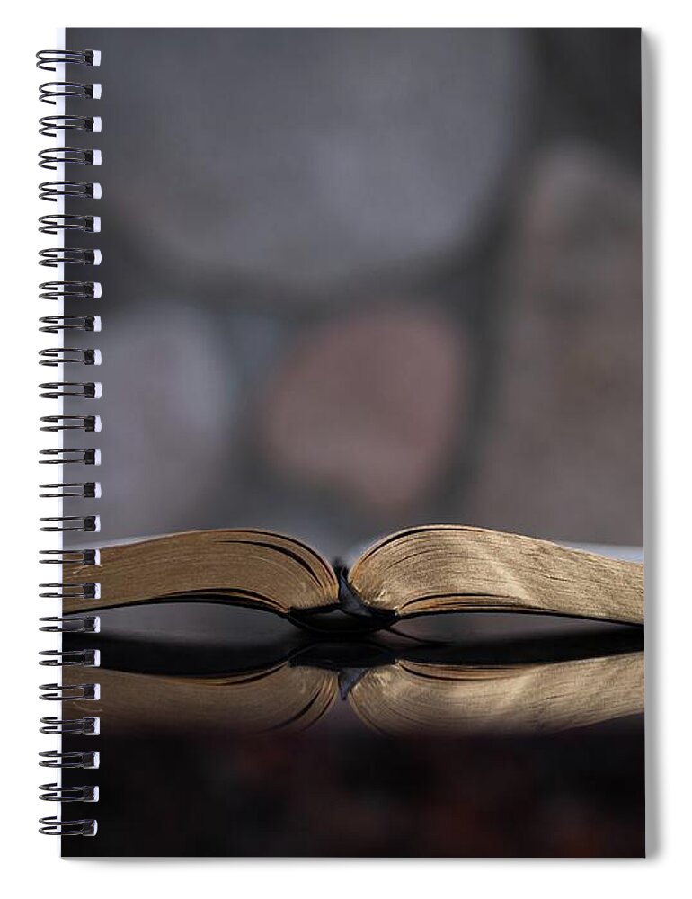 Premium Vector  Spiral bound notebook mockup open blank sketchbook  template or mock up for your sketch vector illustration grey background