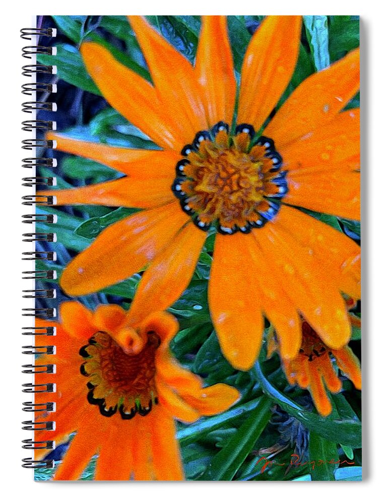 Brushstroke Spiral Notebook featuring the photograph Orange African Daisies by Jori Reijonen
