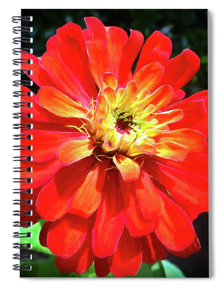 Zinnia Spiral Notebook featuring the photograph Orange Burst Zinnia by Sue Melvin