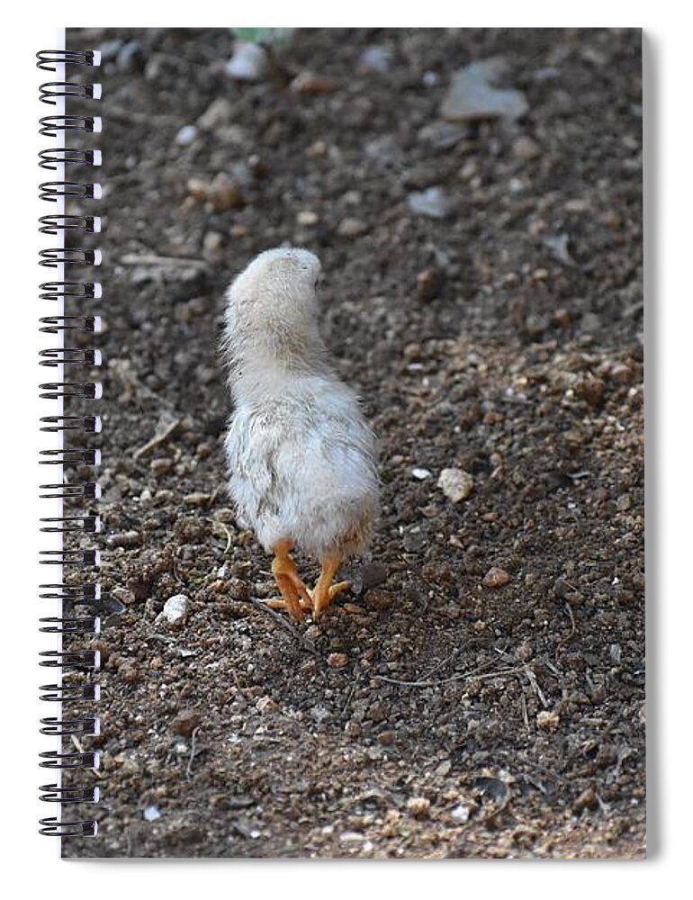 Baby Chick Spiral Notebook featuring the digital art Orange Feet by Cassidy Marshall