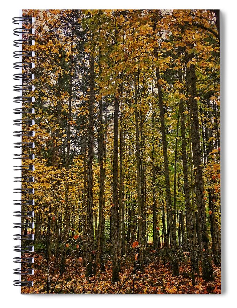 Autumn Spiral Notebook featuring the photograph Orcas Island Color by Jerry Abbott