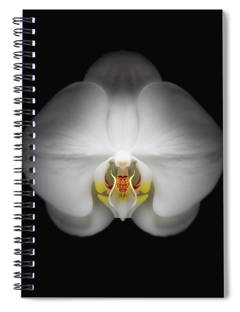Black Background Spiral Notebook featuring the photograph Orchid Flower by Burazin