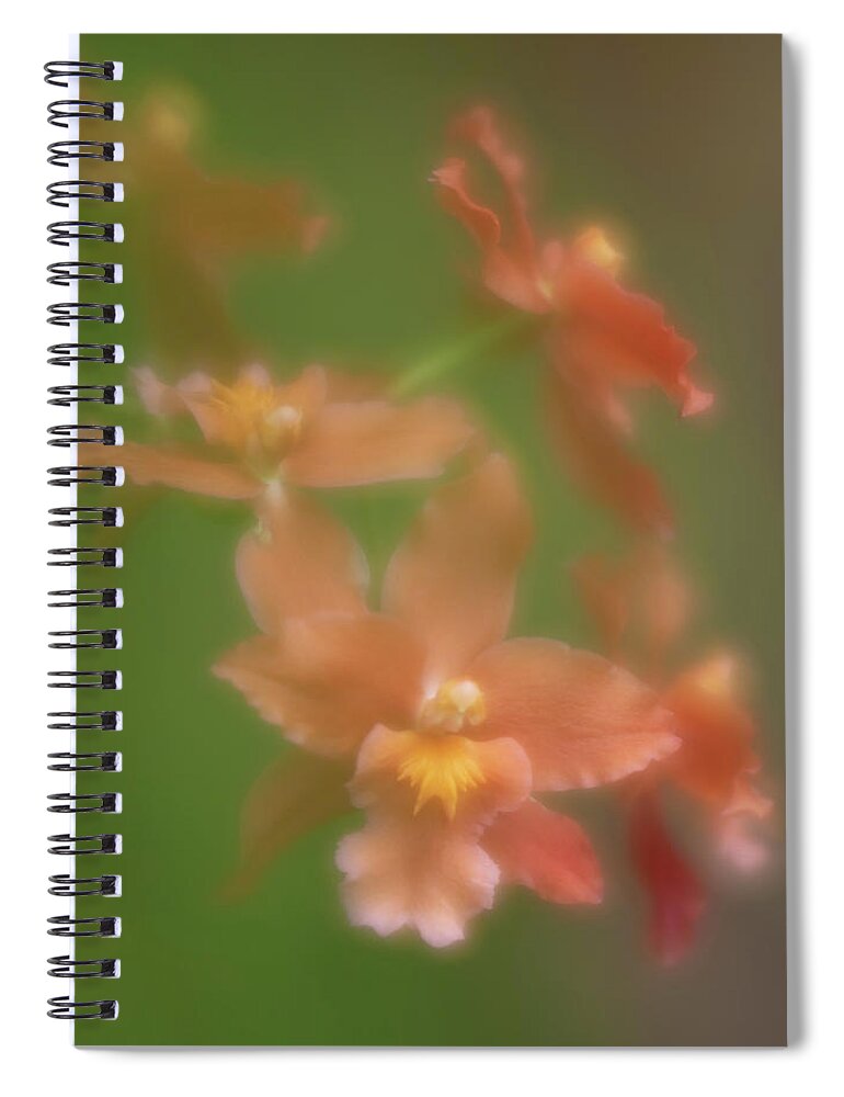 Flower Spiral Notebook featuring the photograph Orchid by Minnie Gallman