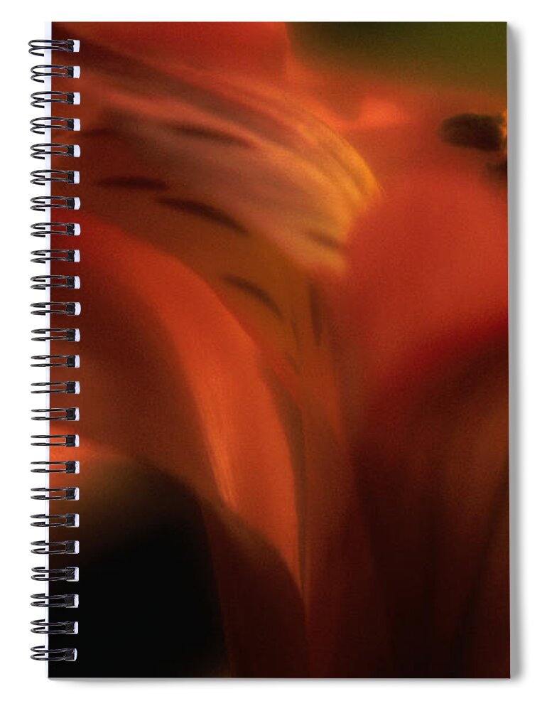 Orange Color Spiral Notebook featuring the photograph Orchid Orchidaceae, Close-up Soft Focus by Alan Pappe