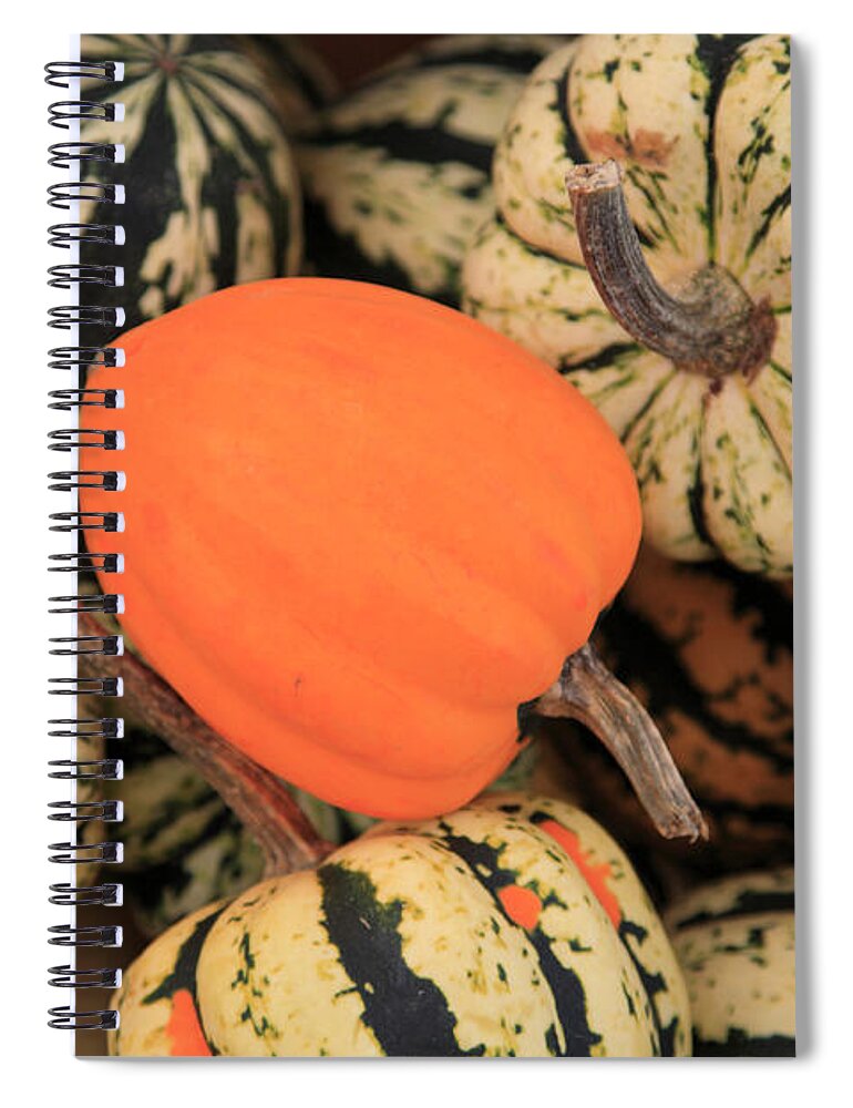 Orange Color Spiral Notebook featuring the photograph Organic Pumpkins by Wendy Connett