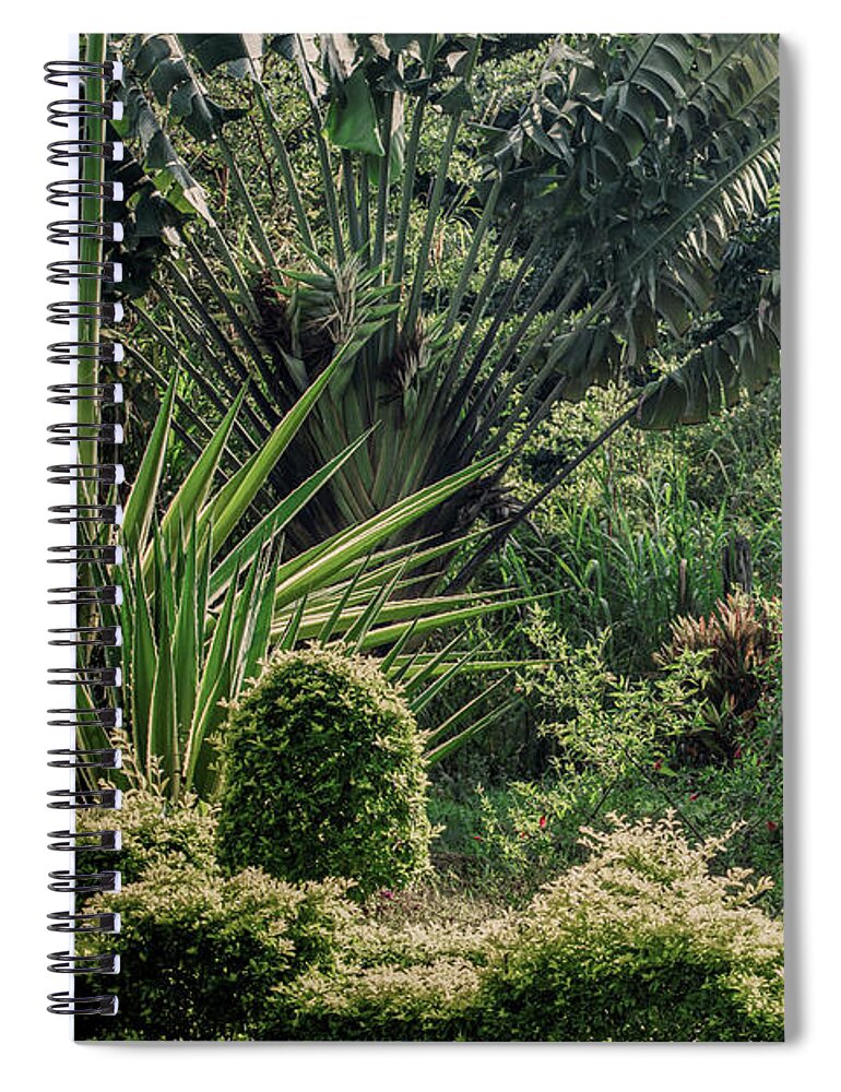 Nature Spiral Notebook featuring the photograph Out of civilization by Robert Grac