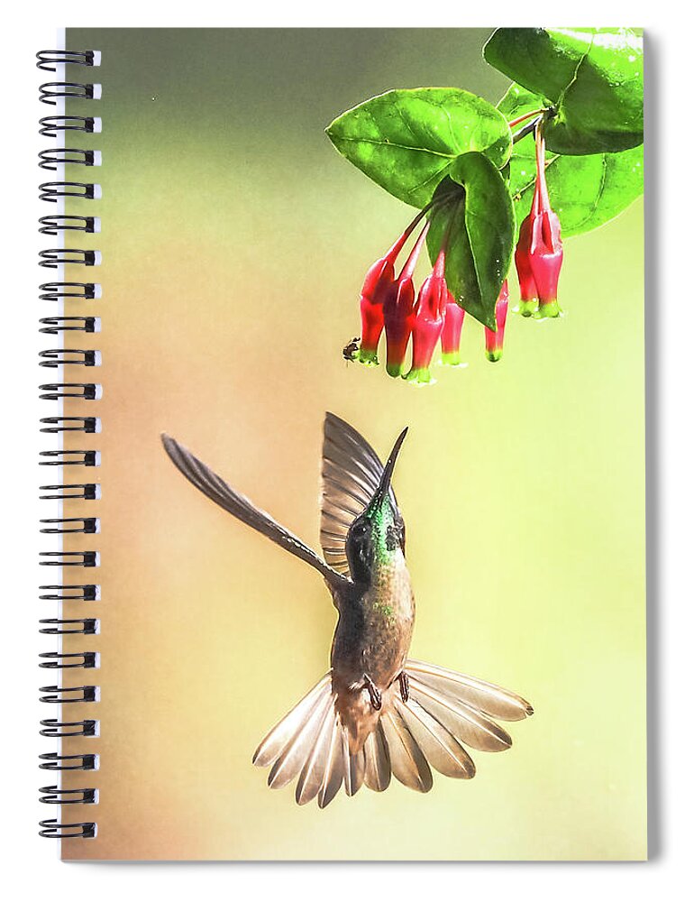Cory Spiral Notebook featuring the photograph Overhead by Tom and Pat Cory