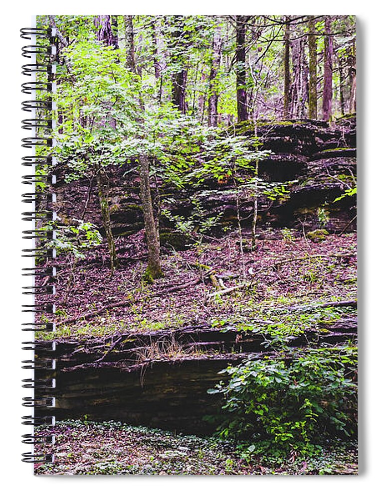 Photograph Spiral Notebook featuring the photograph Ozark Walk with Red Hue by Kelly Thackeray