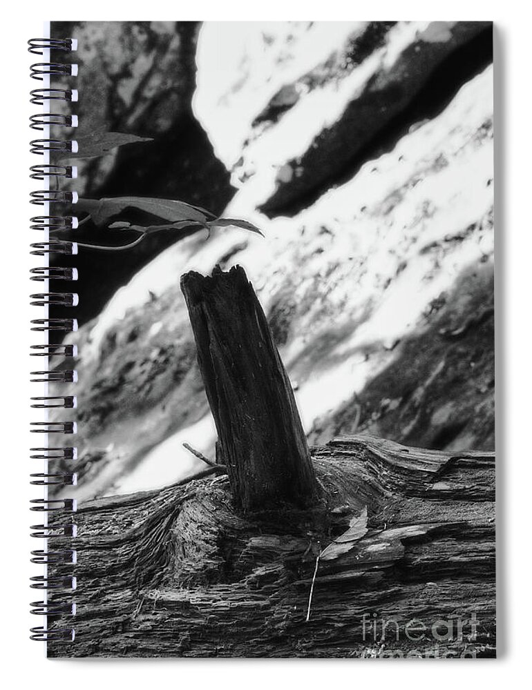 Tennessee Spiral Notebook featuring the photograph Ozone Falls 9 by Phil Perkins