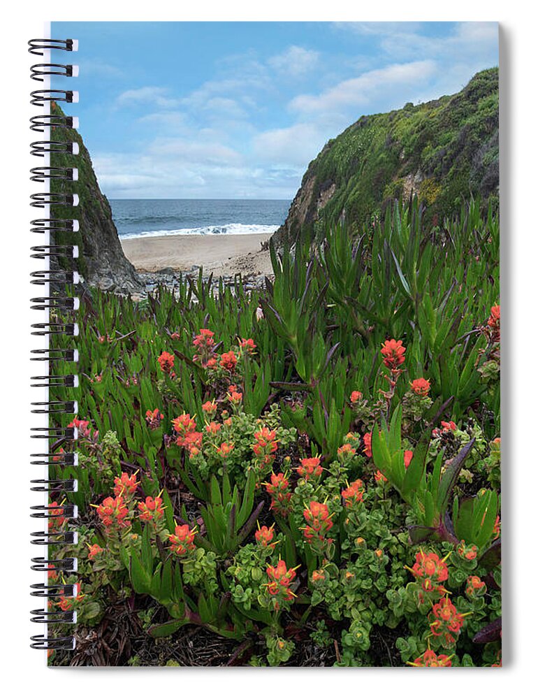 00571627 Spiral Notebook featuring the photograph Paintbrush And Ice Plant, Garrapata State Beach, Big Sur, California by Tim Fitzharris