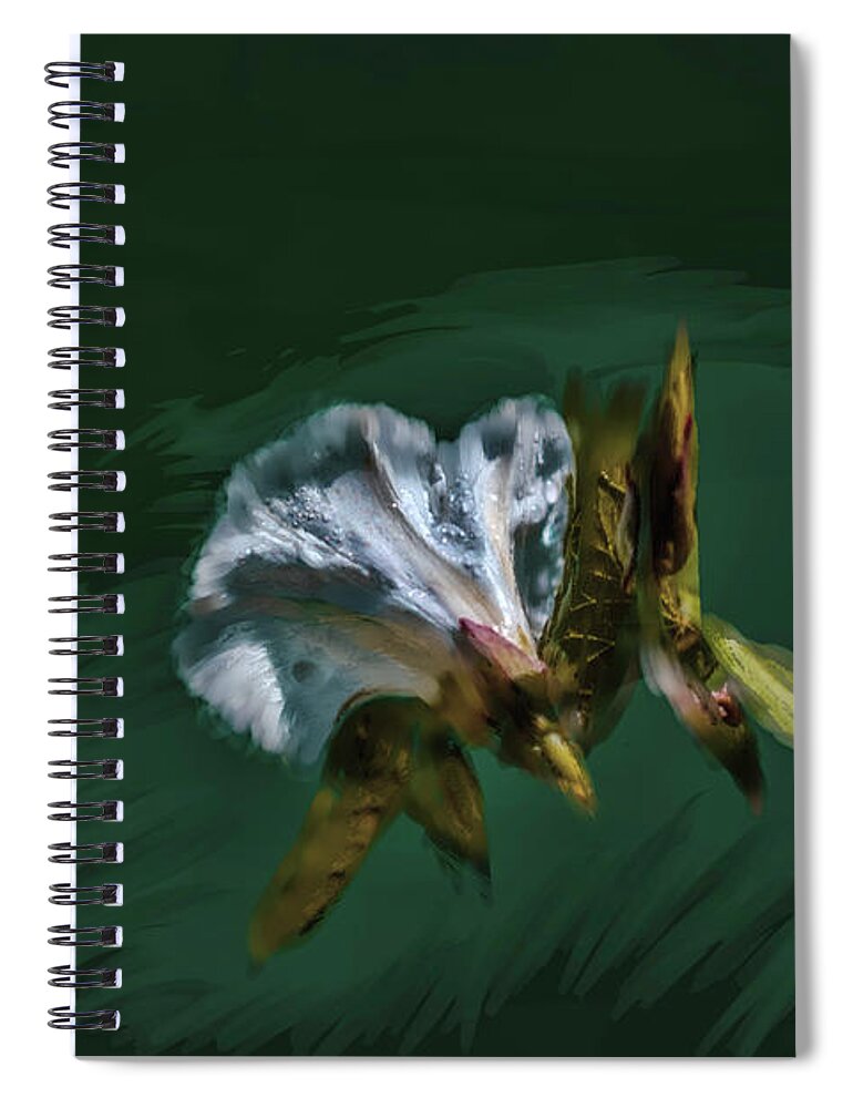 Painted Bindweed Spiral Notebook featuring the photograph Painted Bindweed #i2 by Leif Sohlman