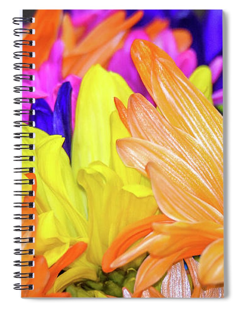 Painted Daisies Spiral Notebook featuring the photograph Painted Daisies by Michelle Wittensoldner