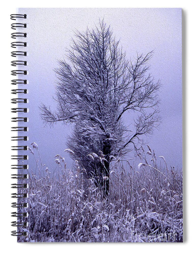 Scenic Spiral Notebook featuring the photograph Painted First Snow by Skip Willits
