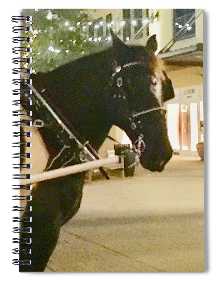 Horse Spiral Notebook featuring the photograph Painted Horse by Debra Grace Addison