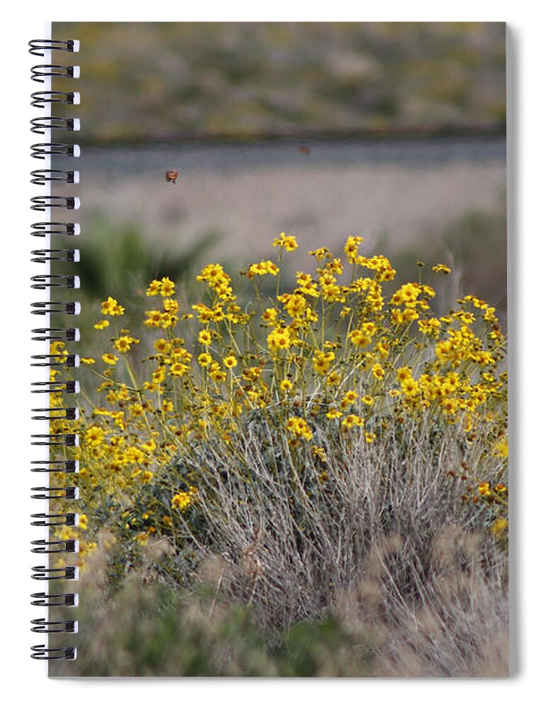 Butter Yellow Spiral Notebook featuring the photograph Painted Ladies and Brittle Bush Salton Sea by Colleen Cornelius
