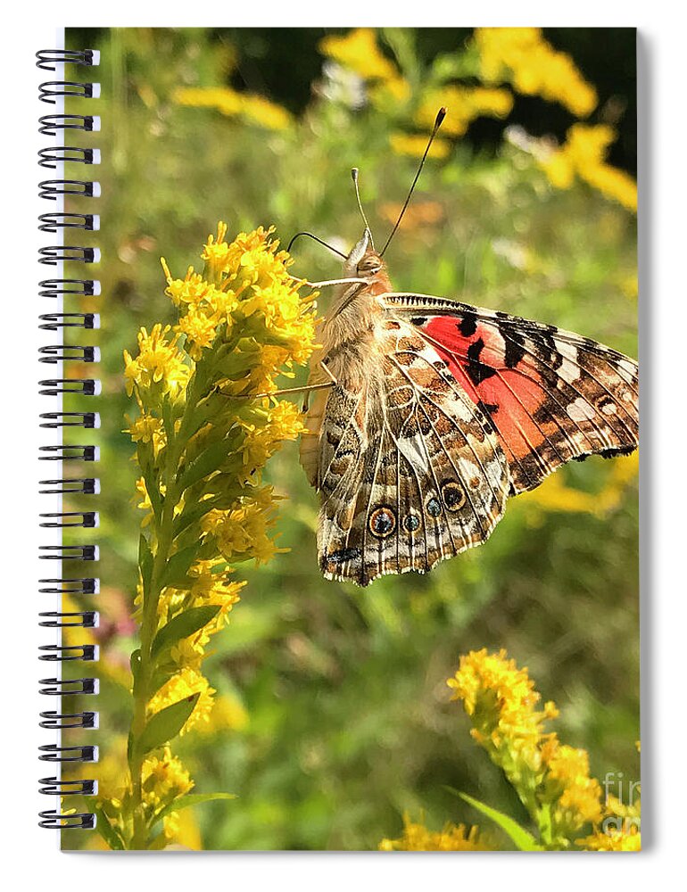 Painted Lady Spiral Notebook featuring the photograph Painted Lady and Goldenrod 3 by Amy E Fraser