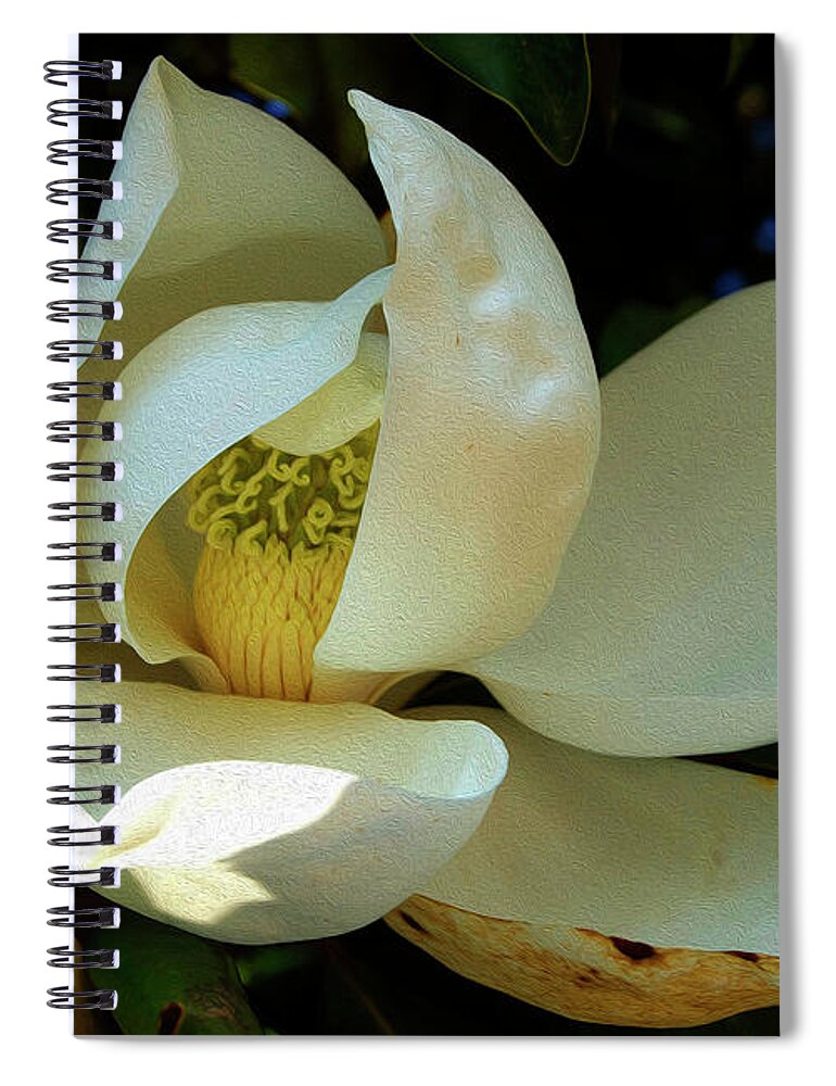 Pictures Of Flowers Spiral Notebook featuring the photograph Painted Magnolia by Skip Willits
