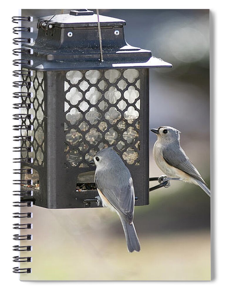 Bird Spiral Notebook featuring the digital art Pair of Tufted Titmouse at the Feeder by Ed Stines