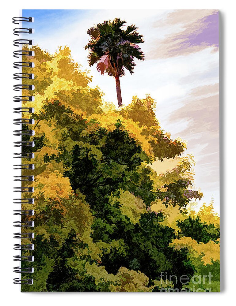 Art Spiral Notebook featuring the photograph Palm above the Trees by Roslyn Wilkins