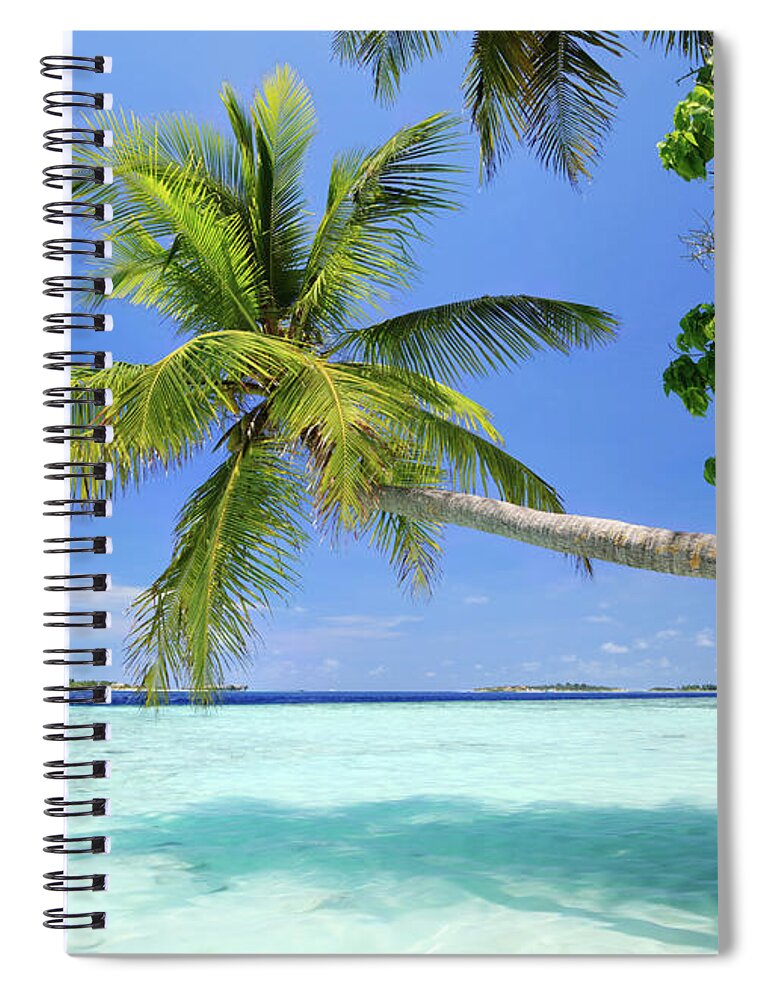 Outdoors Spiral Notebook featuring the photograph Palm Tree And Ocean by Matteo Colombo