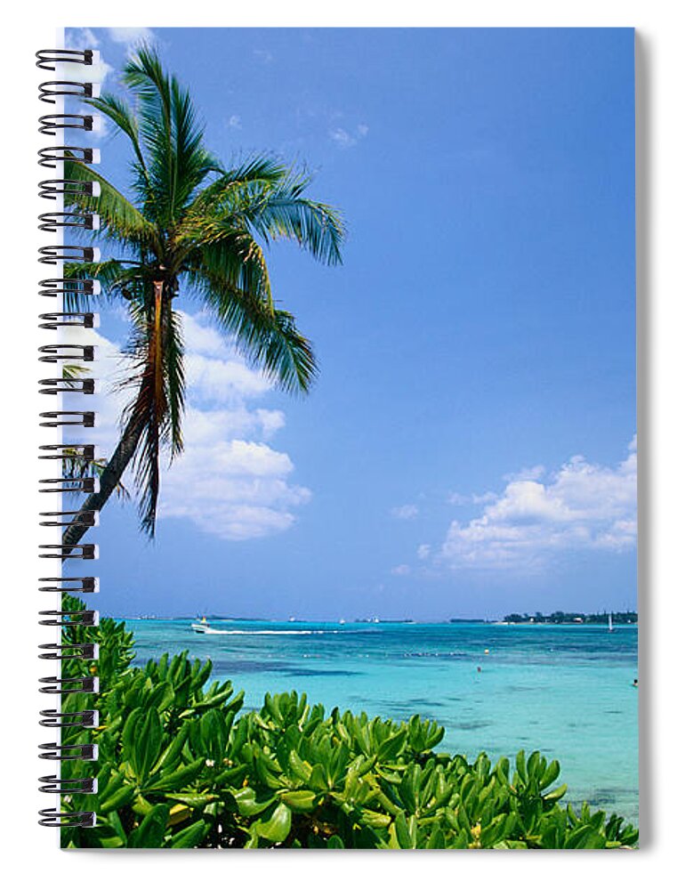 Scenics Spiral Notebook featuring the photograph Palm Trees Palmaceae And Tropical Sea by Hisham Ibrahim