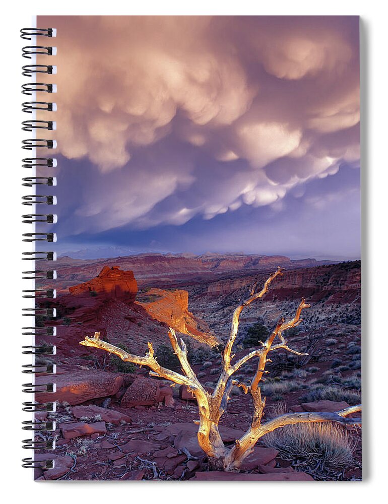 Capitol Reef National Park Spiral Notebook featuring the photograph Panorama point by Leland D Howard