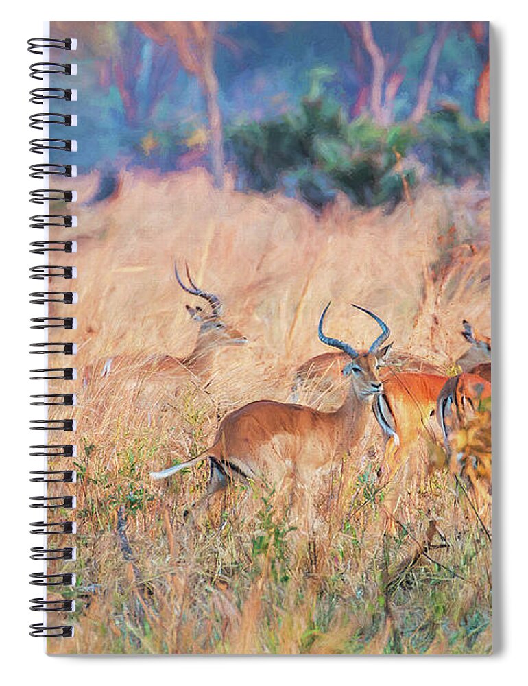 Wildlife Spiral Notebook featuring the photograph Paradise found by Gaye Bentham