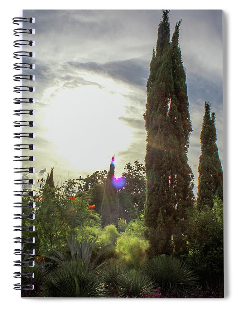 Sunset Nature Photography Landscape Spiral Notebook featuring the photograph Park Sunset by Rocco Silvestri