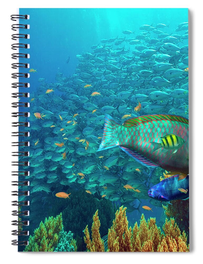 00586430 Spiral Notebook featuring the photograph Parrotfish , Wrasse, Cavalla, And Basslet School, Bohol Island, Philippines by Tim Fitzharris