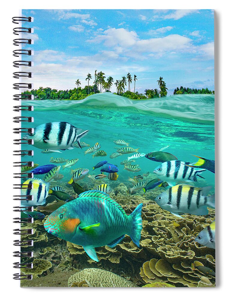 00586444 Spiral Notebook featuring the photograph Parrotfish, Wrasse, And Sergeant Major Damselfish, Balicasag Island, Philippines by Tim Fitzharris