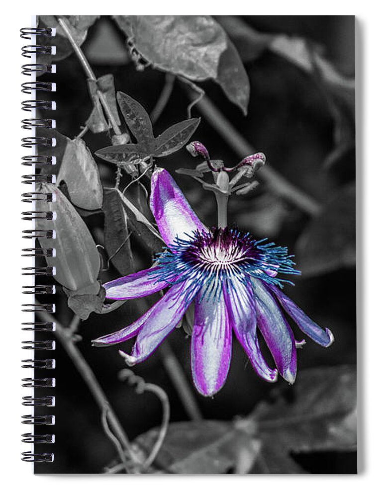 Arizona Spiral Notebook featuring the photograph Passion Flower Only Alt by Dennis Dempsie
