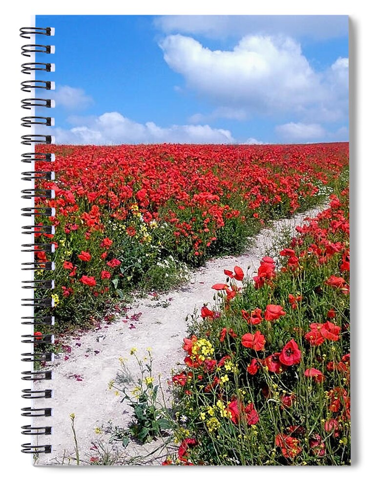 Poppies Spiral Notebook featuring the photograph Path through the Poppies by Vanessa Thomas
