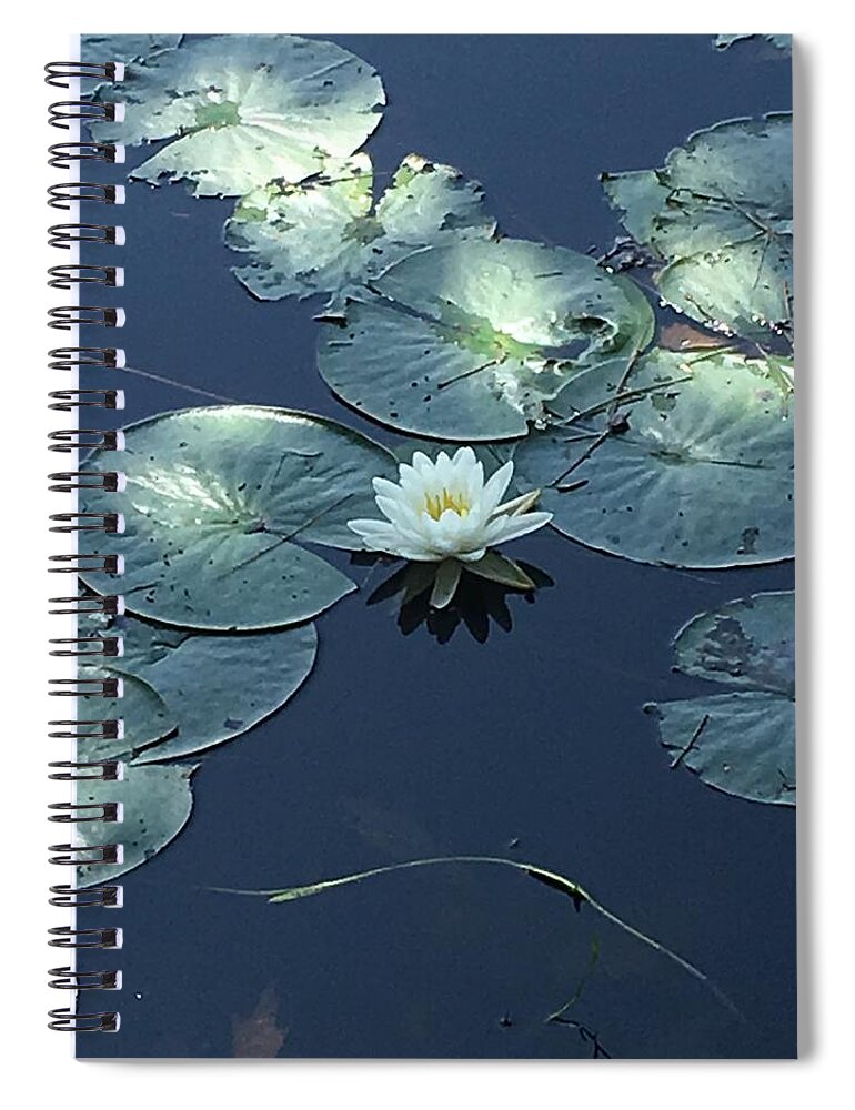Nature Spiral Notebook featuring the photograph Peace in the Present by Anjel B Hartwell