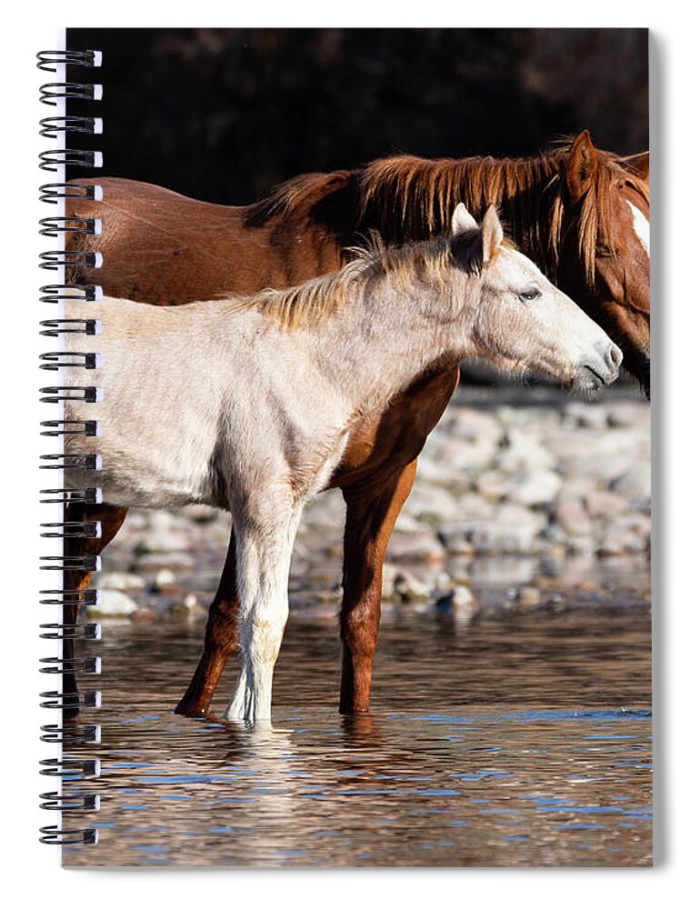 Wild Horses Spiral Notebook featuring the photograph Peace by Mary Hone