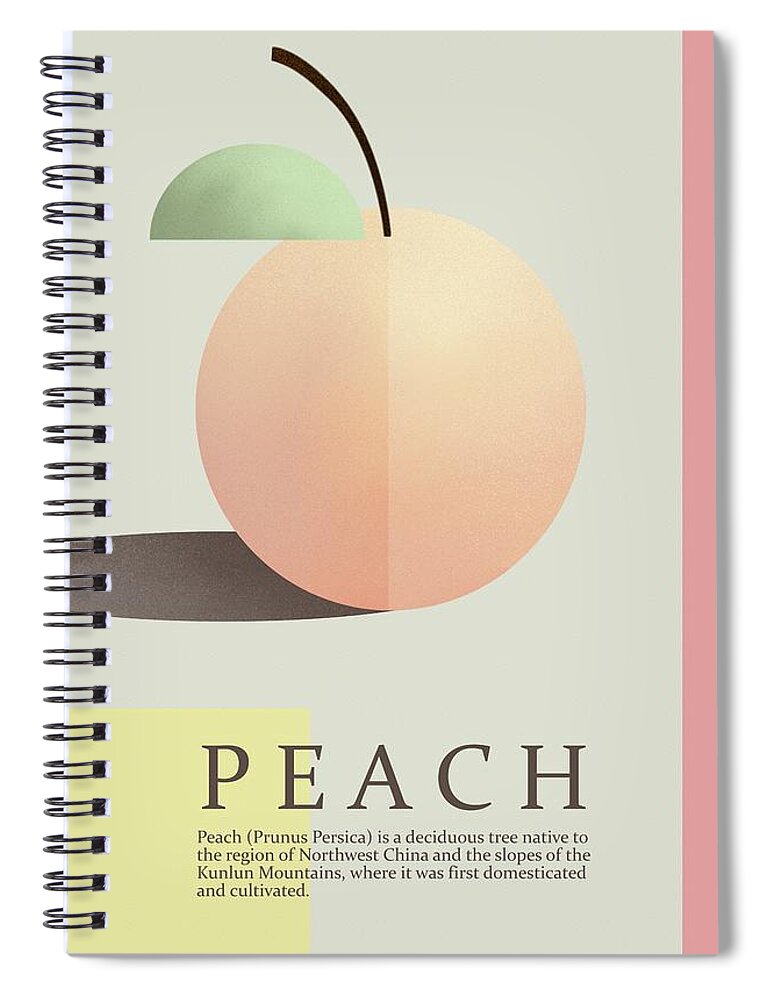 Peach Spiral Notebook featuring the painting Peach by Joe Gilronan