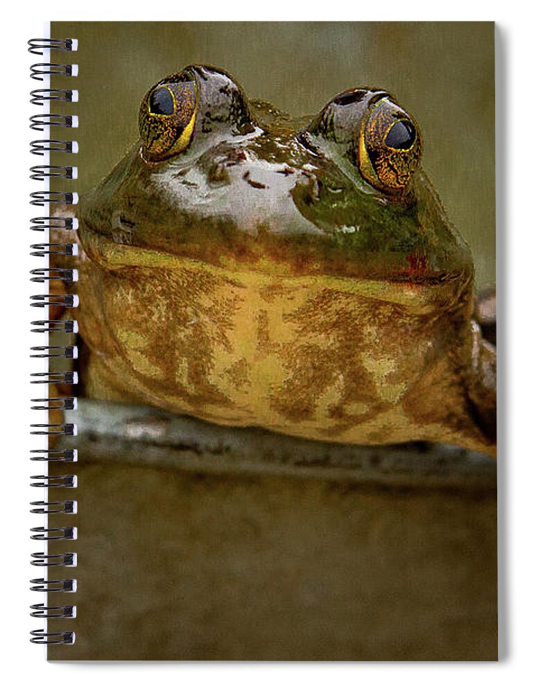 Amphibian Spiral Notebook featuring the photograph Peaking OUt by Jean Noren