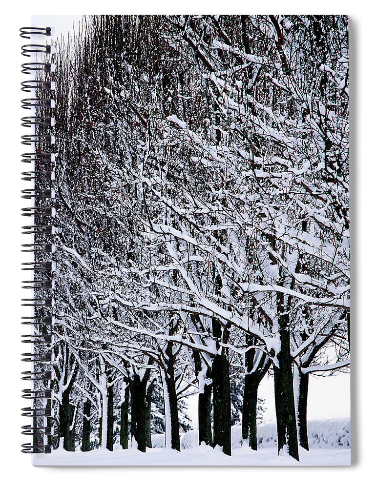 Tranquility Spiral Notebook featuring the photograph Pear Alle With Snow by Richard Felber