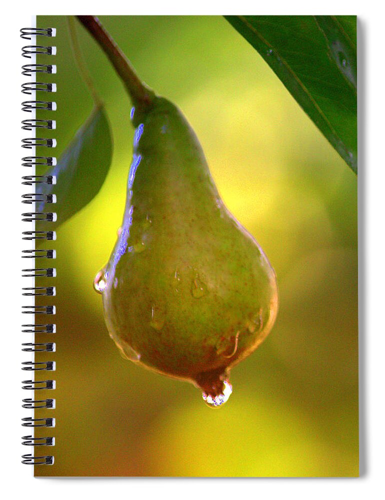 Art Spiral Notebook featuring the photograph Pear by Joan Han