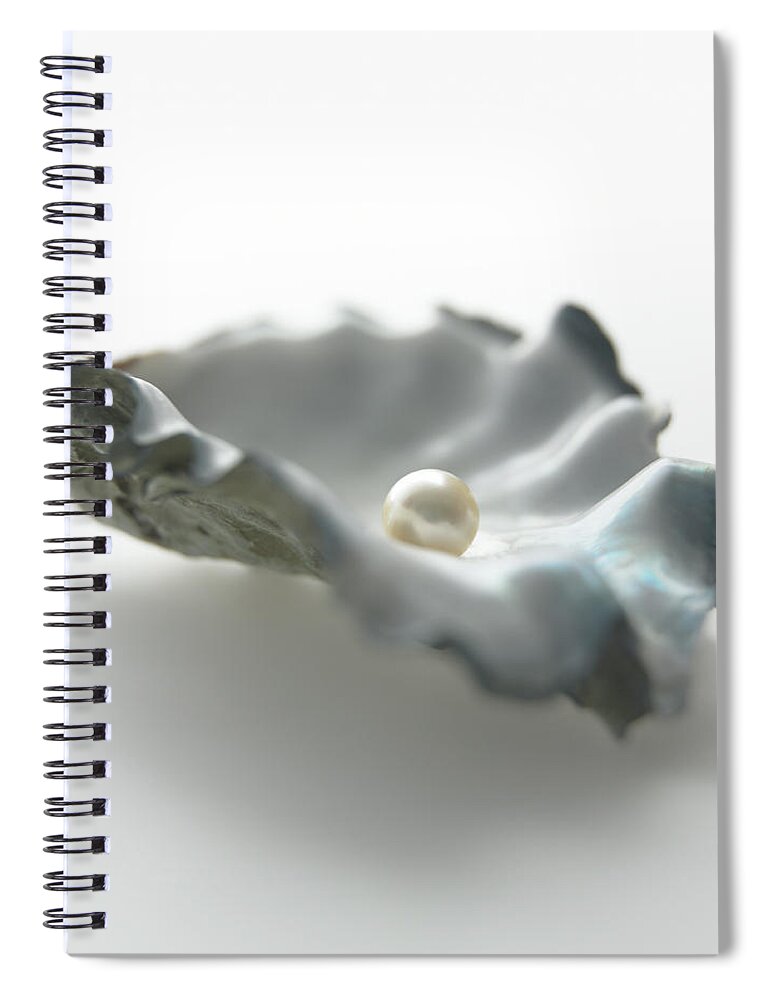White Background Spiral Notebook featuring the photograph Pearl In Oyster Shell by Biwa Studio