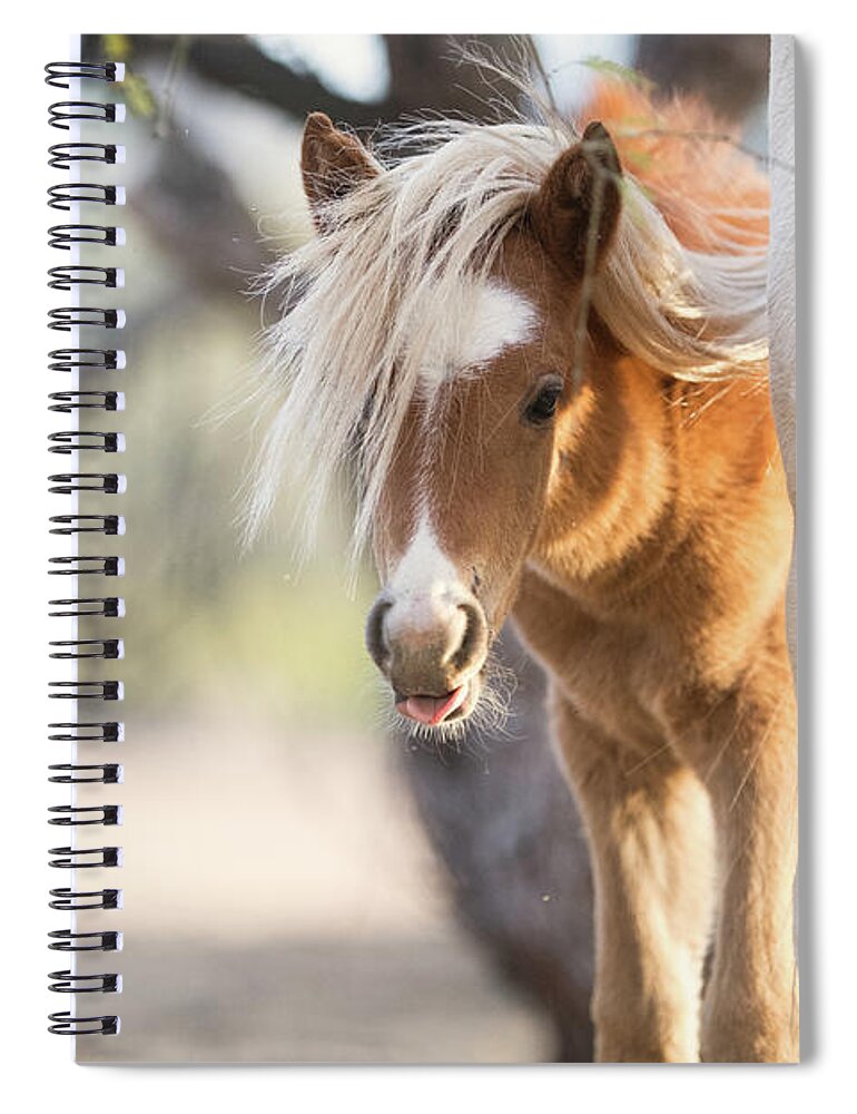Cute Spiral Notebook featuring the photograph Peek-A-Boo 2 by Shannon Hastings