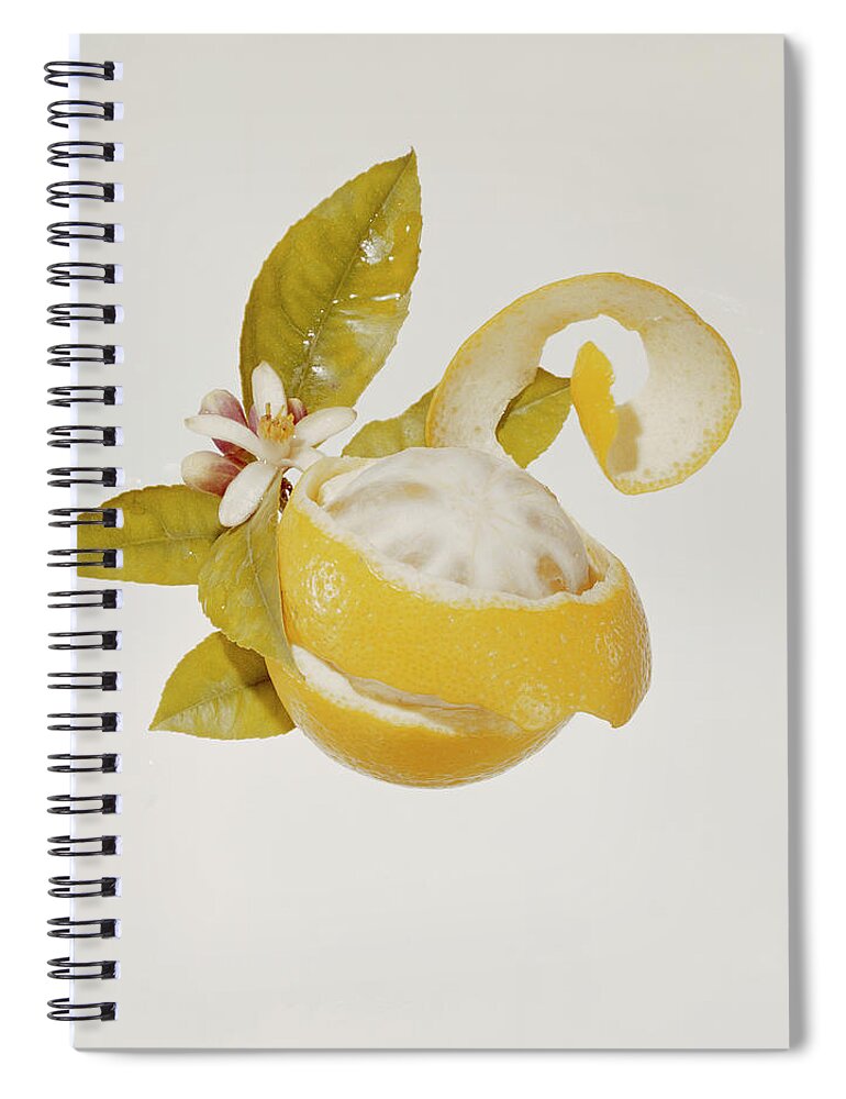 Orange Color Spiral Notebook featuring the photograph Peeled Orange With Blossom On White by Tom Kelley Archive