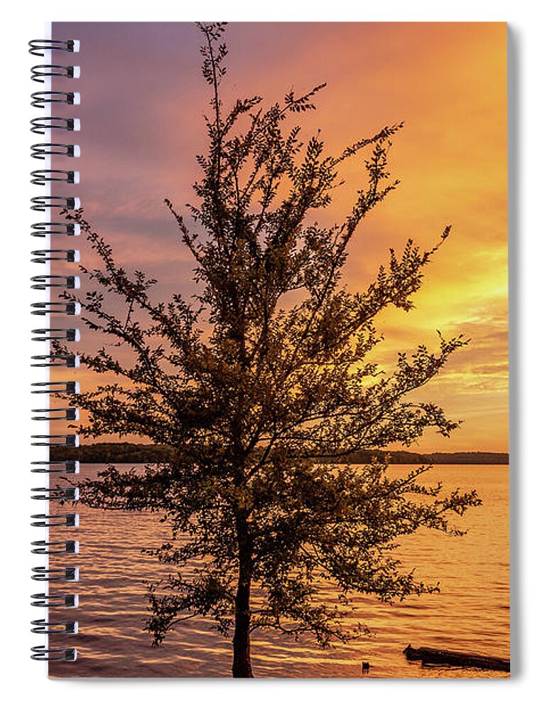 Percy Priest Lake Spiral Notebook featuring the photograph Percy Priest Lake Sunset Young Tree by D K Wall
