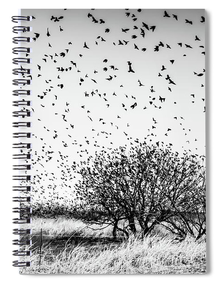  Spiral Notebook featuring the photograph Perfect Chaos 3 by See It In Texas