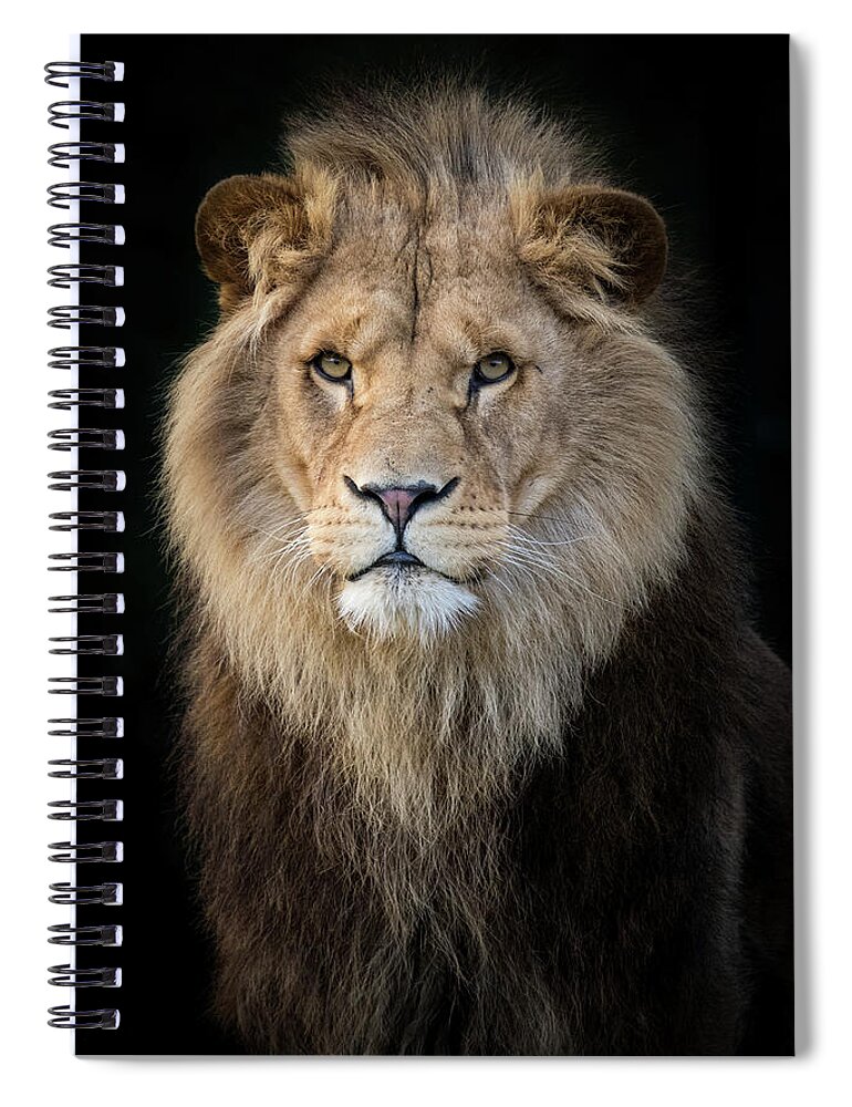 Mane Spiral Notebook featuring the photograph Perfect mane by RT Photography