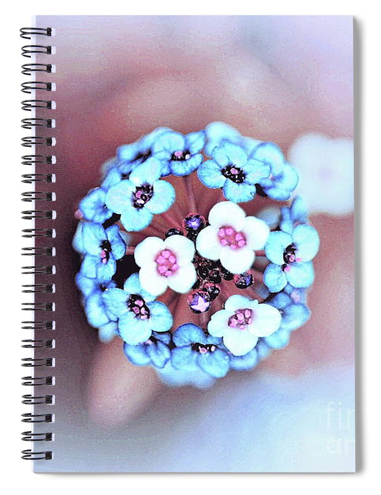 Flower Spiral Notebook featuring the photograph Petal Dreams by Tracey Lee Cassin